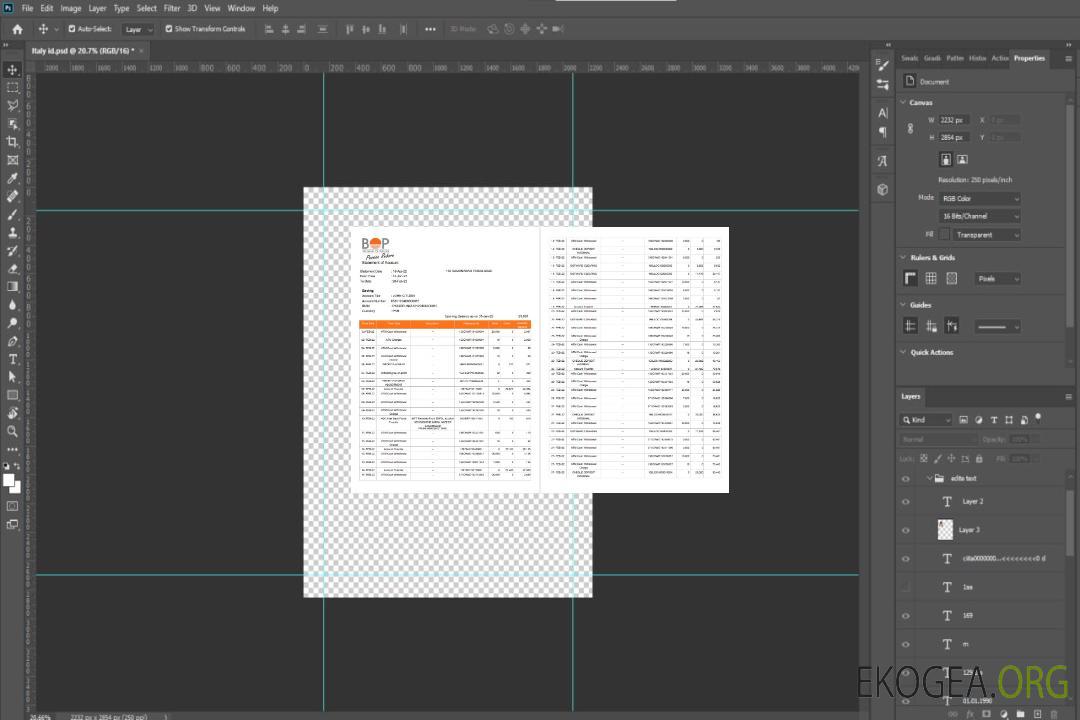 Inde Relevé de compte de la Bank of Punjab (BOP), 3 pages template